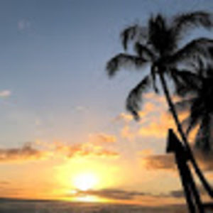 Meet your Posher, Tee